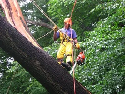 Professional yard cleanup service with custom design in Needham, MA by Gold Landscaping Service