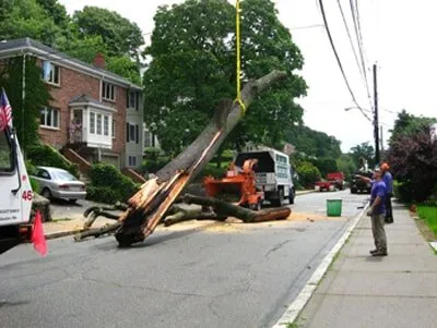 Local yard maintenance near you across Needham, MA - Gold Landscaping Service