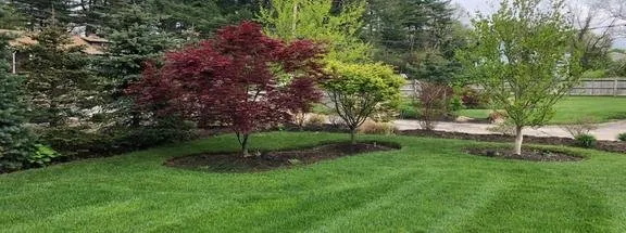 Professional landscaping services in Needham, MA - Gold Landscaping Service