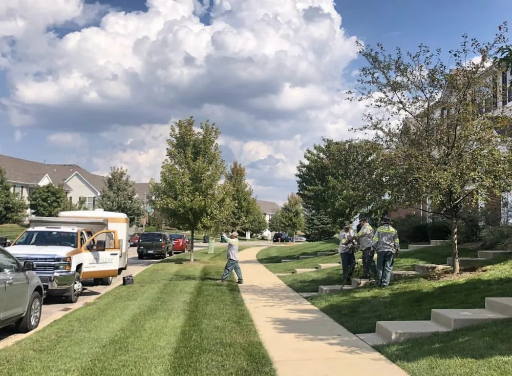 Local yard cleanup service for residential properties in Aurora, IL by Gold Leaf Landscape