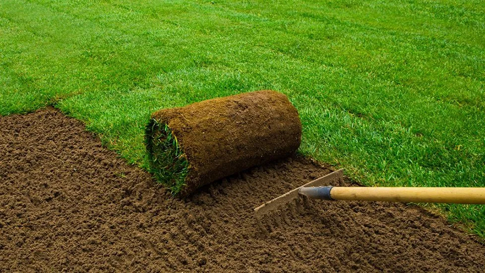 Trusted residential landscaping experts serving Bluffton, SC - Gold Leaf Landscape