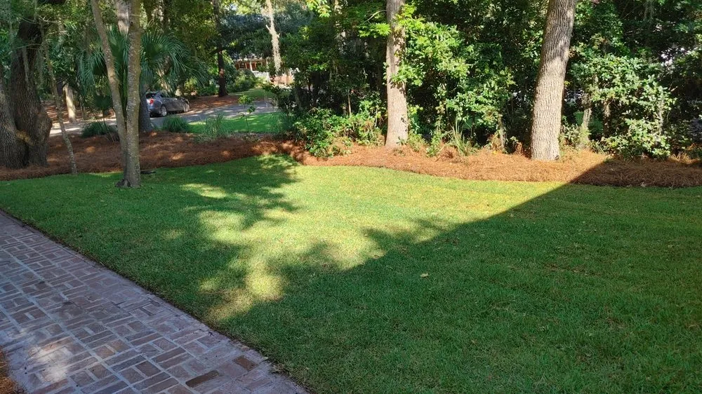 Reliable outdoor landscaping for homes in Bluffton, SC by Gold Leaf Landscape
