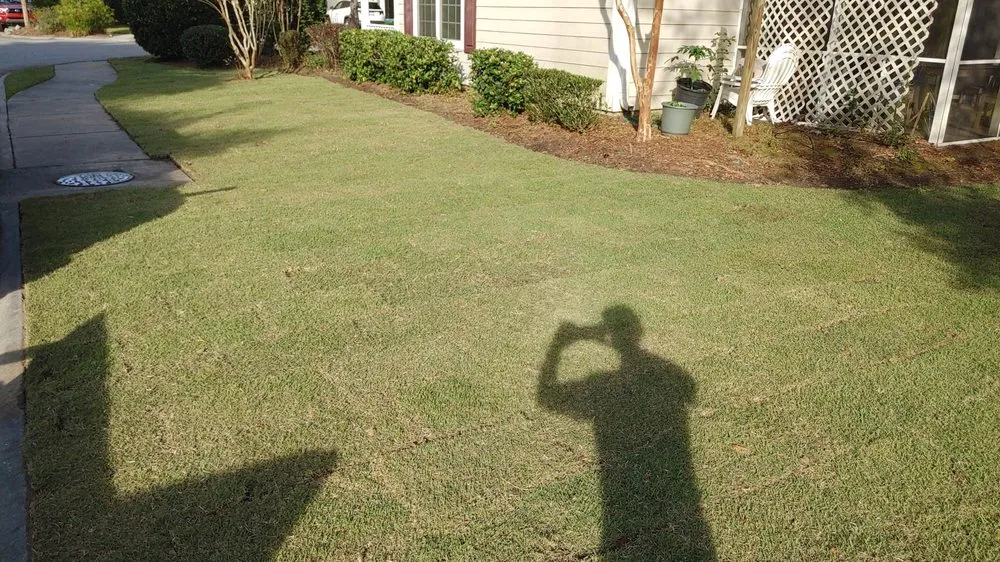 Custom yard cleanup service for year-round maintenance across Bluffton, SC - Gold Leaf Landscape