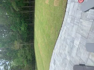 Top-rated yard cleanup service for beautiful yards in Bluffton, SC by Gold Leaf Landscape