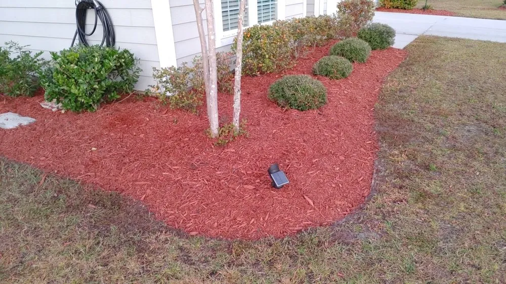 Local lawn care service for beautiful yards in Bluffton, SC by Gold Leaf Landscape