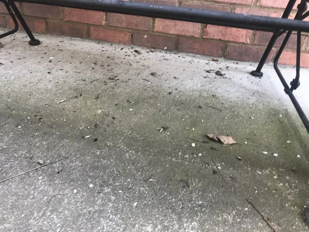 Reliable yard cleanup service in Kennesaw, GA by Gold Leaf Landscape