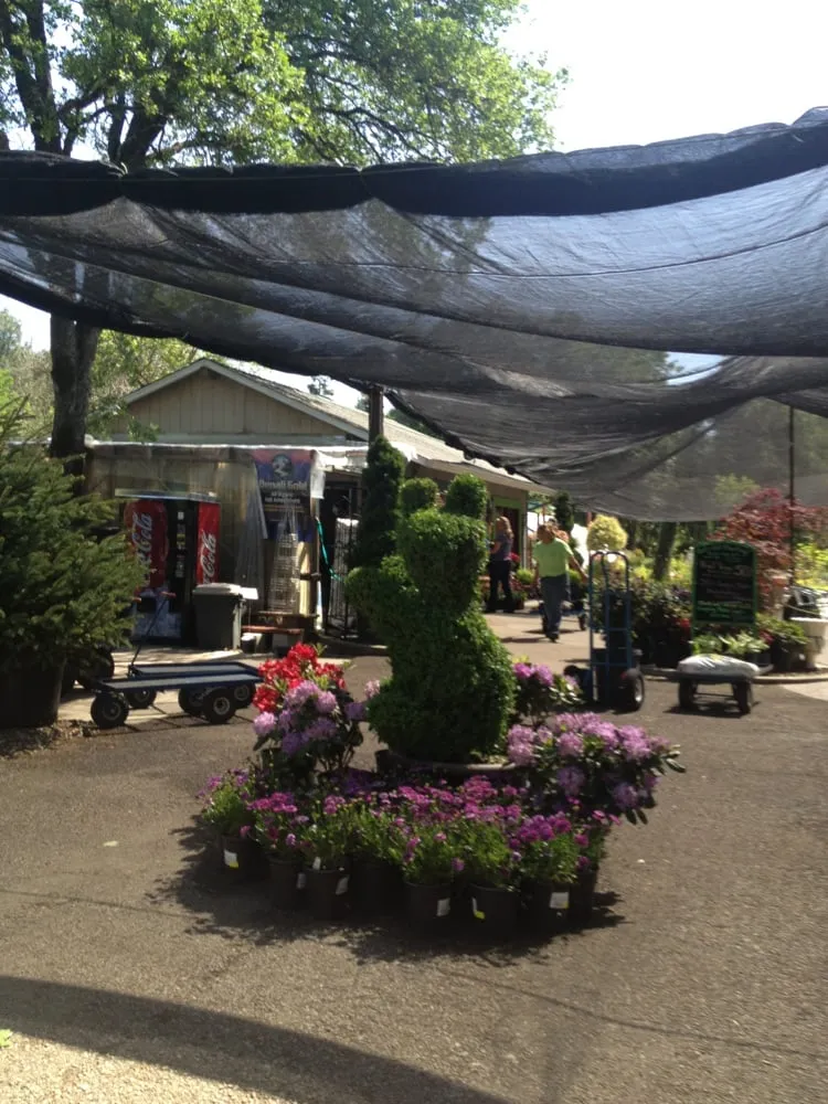 Expert yard cleanup service for outdoor upgrades in Redding, CA by Gold Leaf Nursery & Landscaping