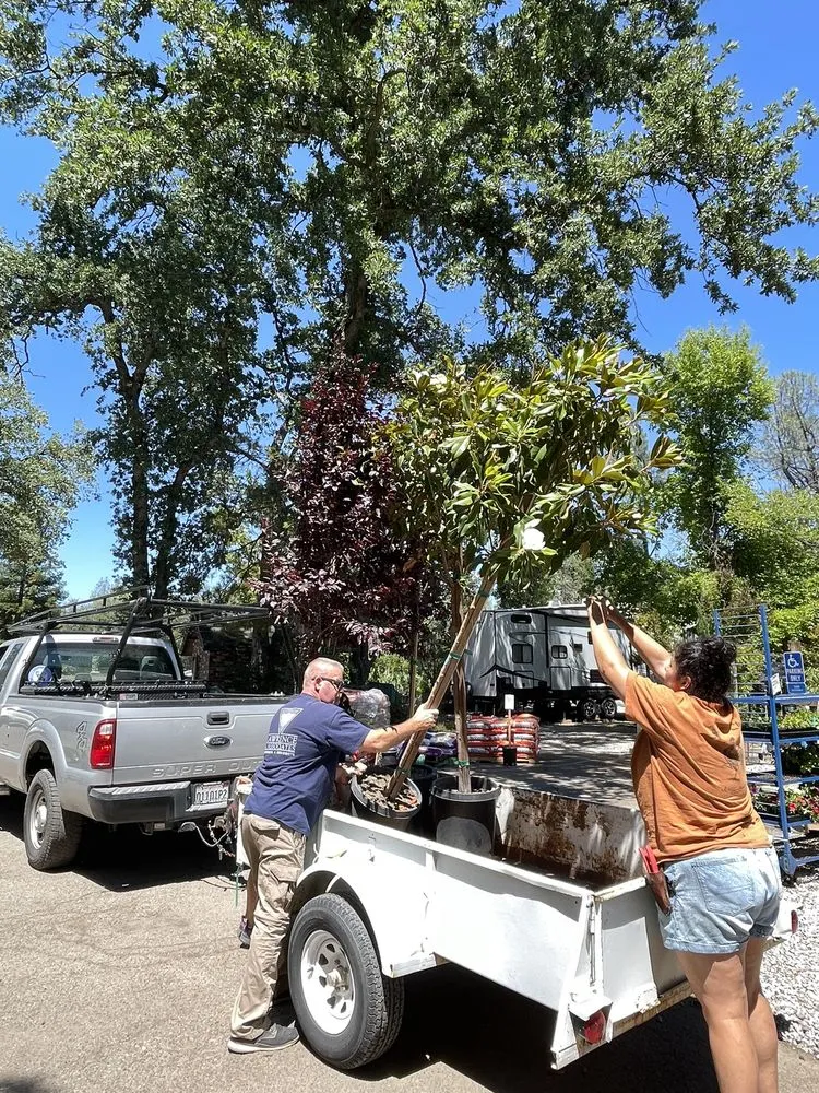 Reliable landscape installation near you in Redding, CA by Gold Leaf Nursery & Landscaping