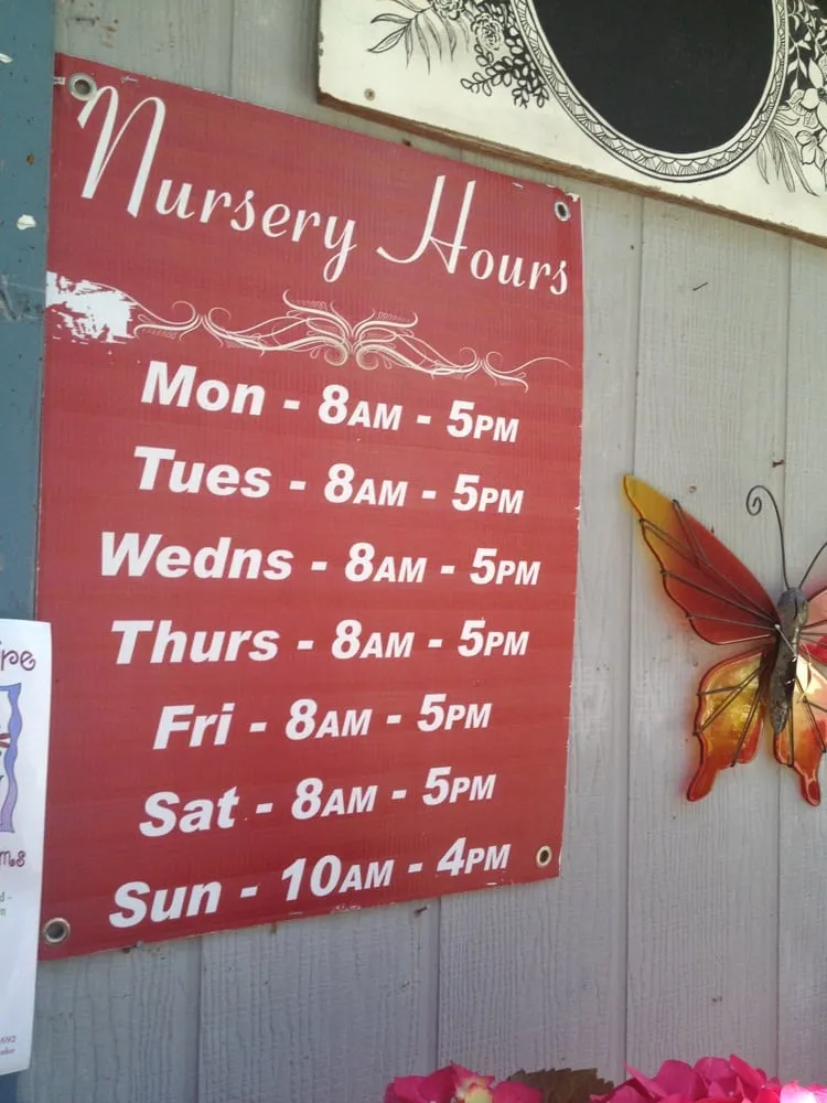 Trusted yard maintenance experts serving Redding, CA - Gold Leaf Nursery & Landscaping