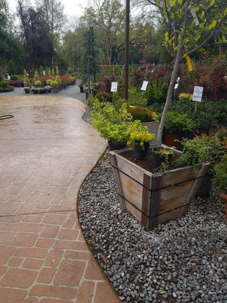 Affordable yard maintenance in Redding, CA by Gold Leaf Nursery & Landscaping