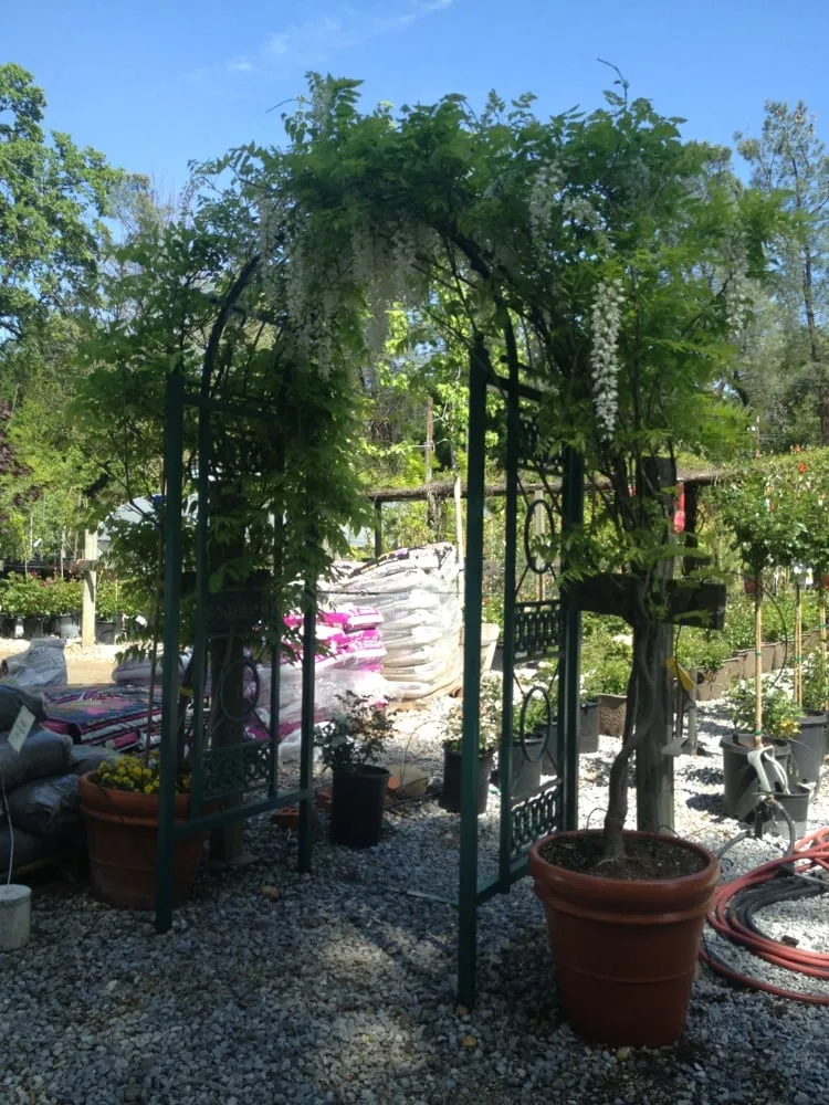 Professional landscape design for outdoor upgrades across Redding, CA - Gold Leaf Nursery & Landscaping