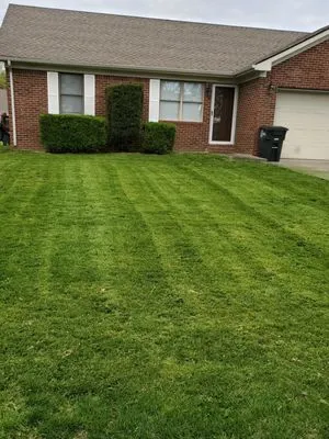 Gold Medal Lawn Care Logo