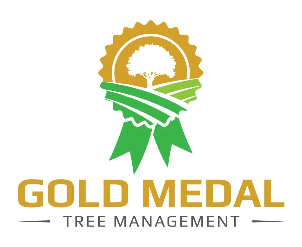 Reliable lawn mowing service in Mesa, AZ - Gold Medal Tree Management
