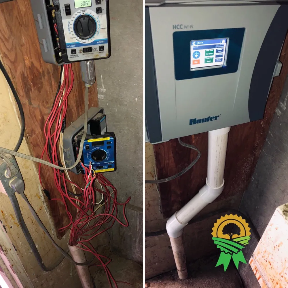 Professional lawn care service for outdoor upgrades across Mesa, AZ - Gold Medal Tree Management