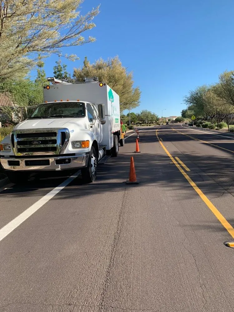 Professional landscape installation experts serving Mesa, AZ - Gold Medal Tree Management