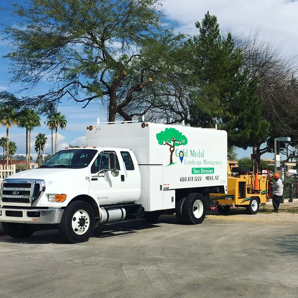 Local yard cleanup service in Mesa, AZ by Gold Medal Tree Management
