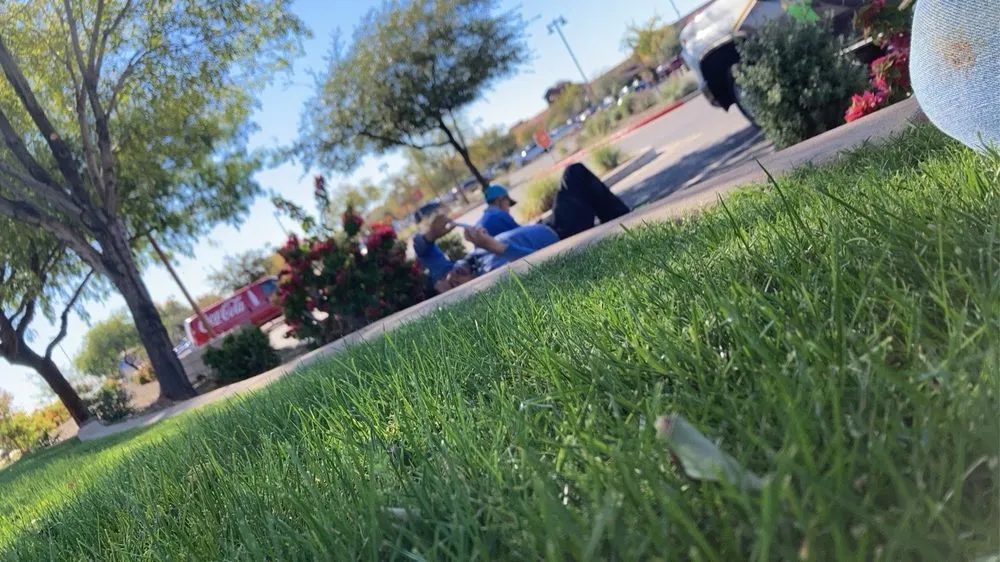 Reliable lawn care service in Mesa, AZ by Gold Medal Tree Management