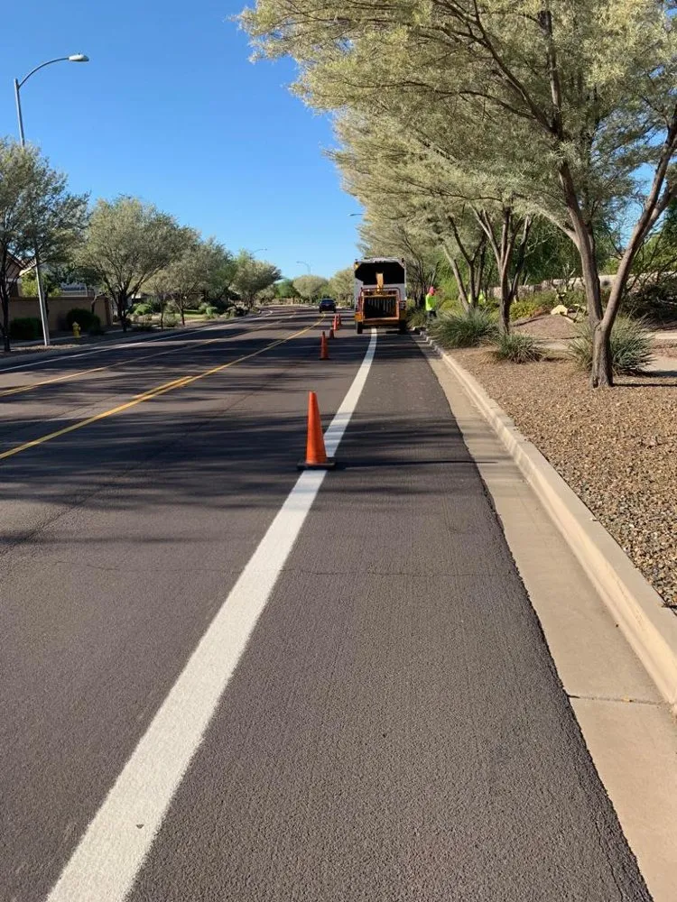 Top-rated landscaping services for year-round maintenance in Mesa, AZ by Gold Medal Tree Management