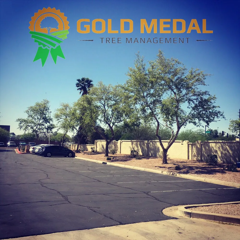 Affordable yard maintenance in Mesa, AZ by Gold Medal Tree Management