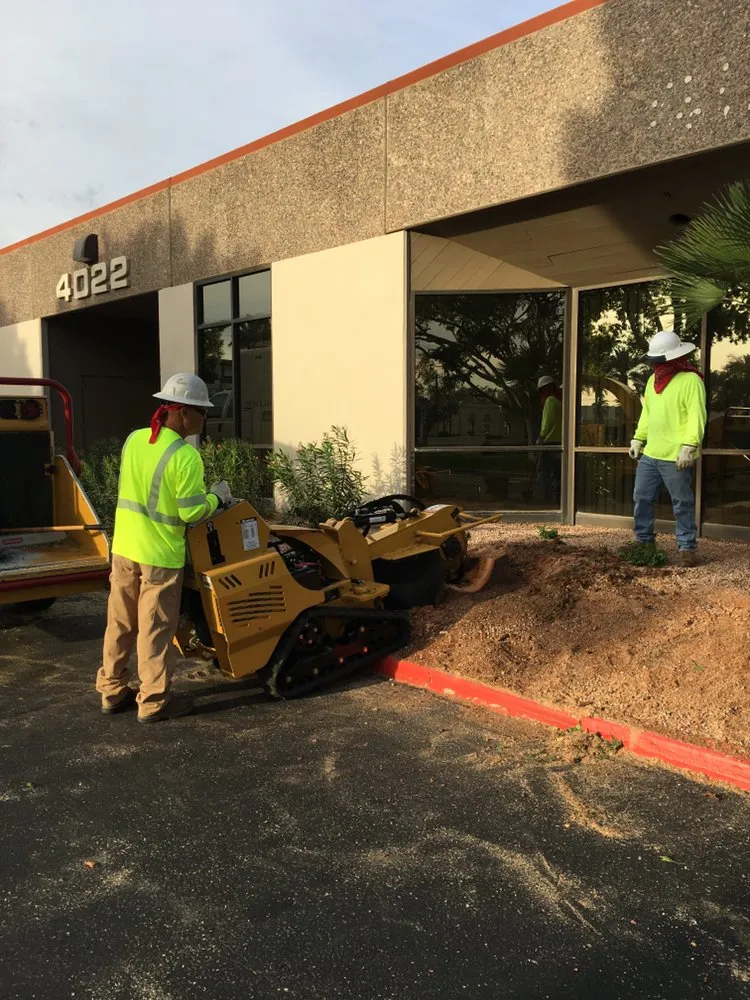 Local garden landscaping with custom design in Mesa, AZ by Gold Medal Tree Management