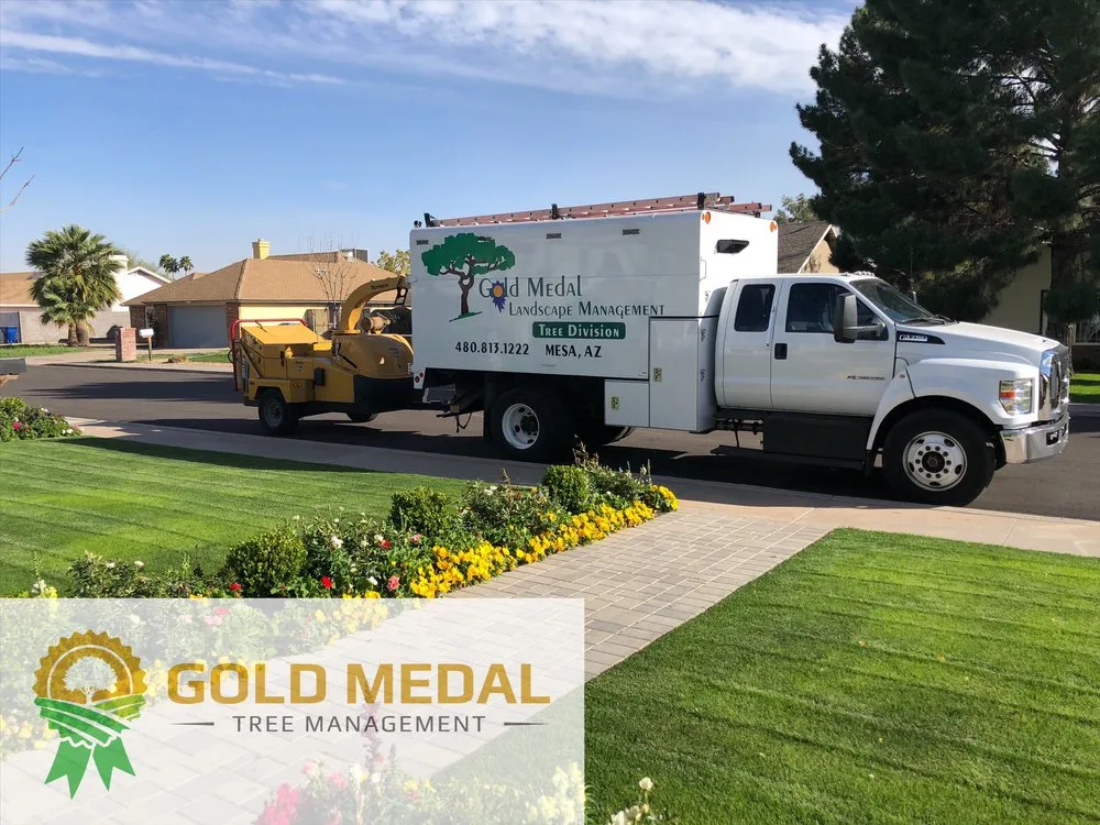 Reliable lawn care service for homes across Mesa, AZ - Gold Medal Tree Management
