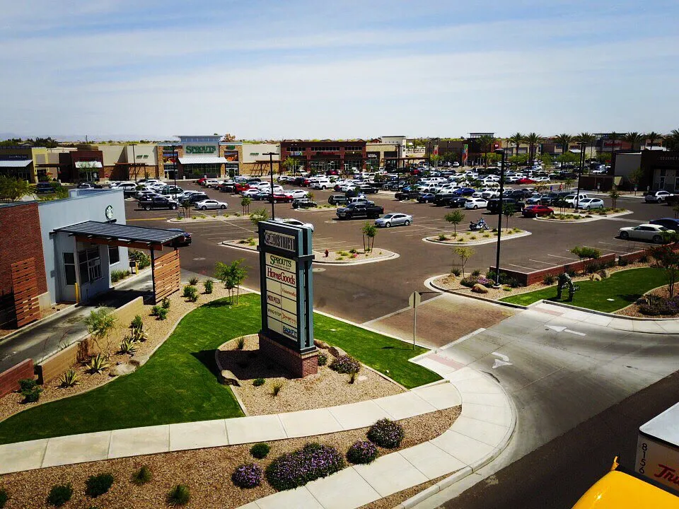 Expert yard maintenance in Mesa, AZ by Gold Medal Tree Management