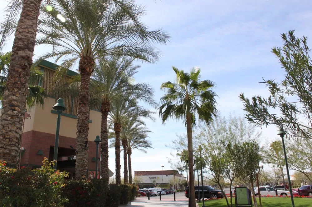 Reliable landscape design in Mesa, AZ by Gold Medal Tree Management