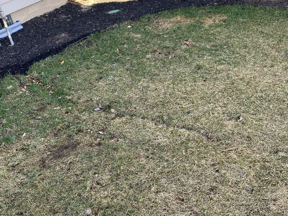 Professional landscape installation in Redmond, OR - Gold mountain Landscaping and irrigation