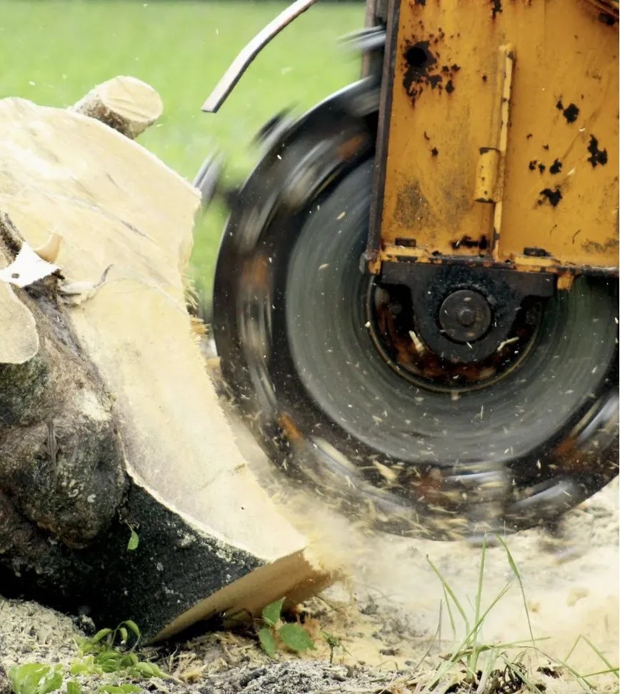 Top-rated yard maintenance for outdoor upgrades in Palmetto, FL by Gold Palm Solutions