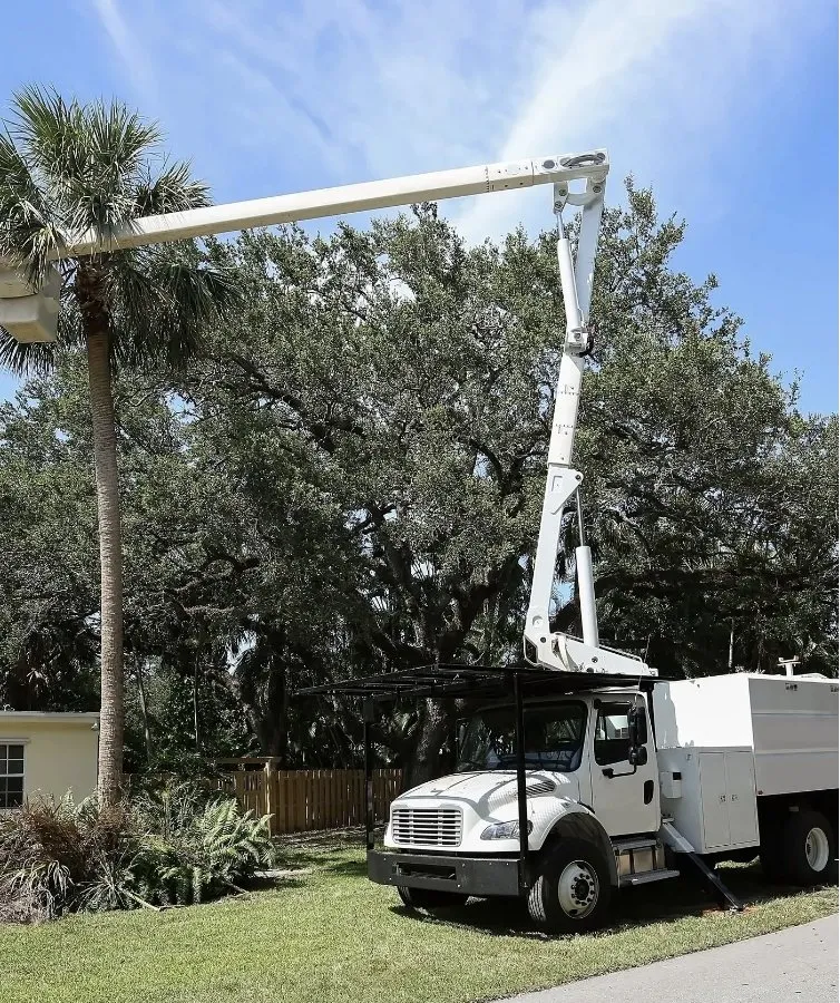 Local landscape design in Palmetto, FL - Gold Palm Solutions