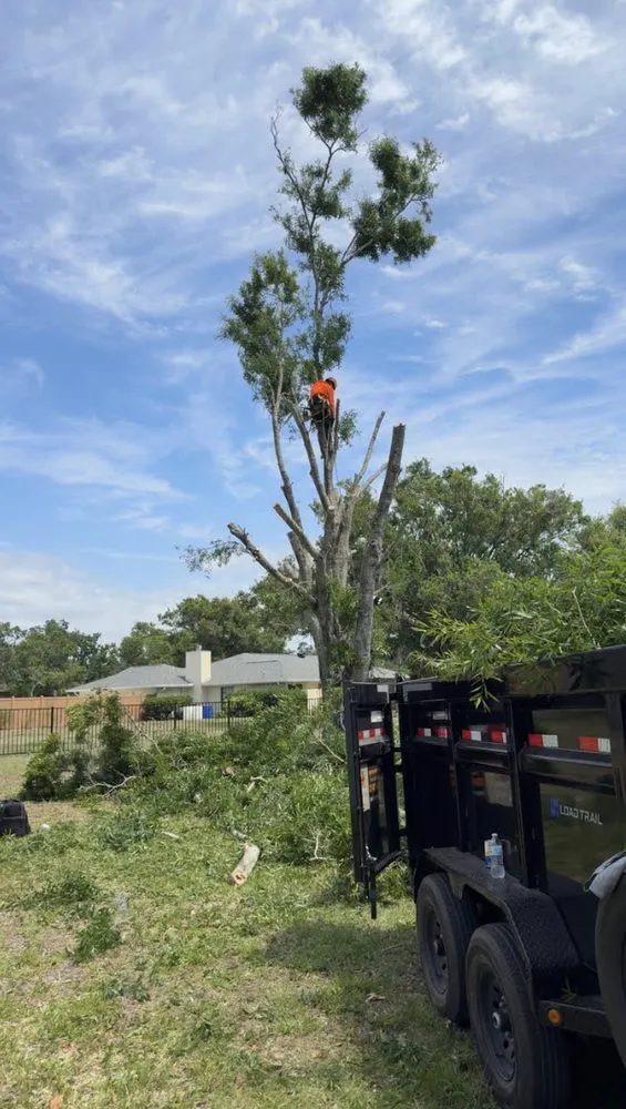 Custom yard maintenance for year-round maintenance in Palmetto, FL by Gold Palm Solutions