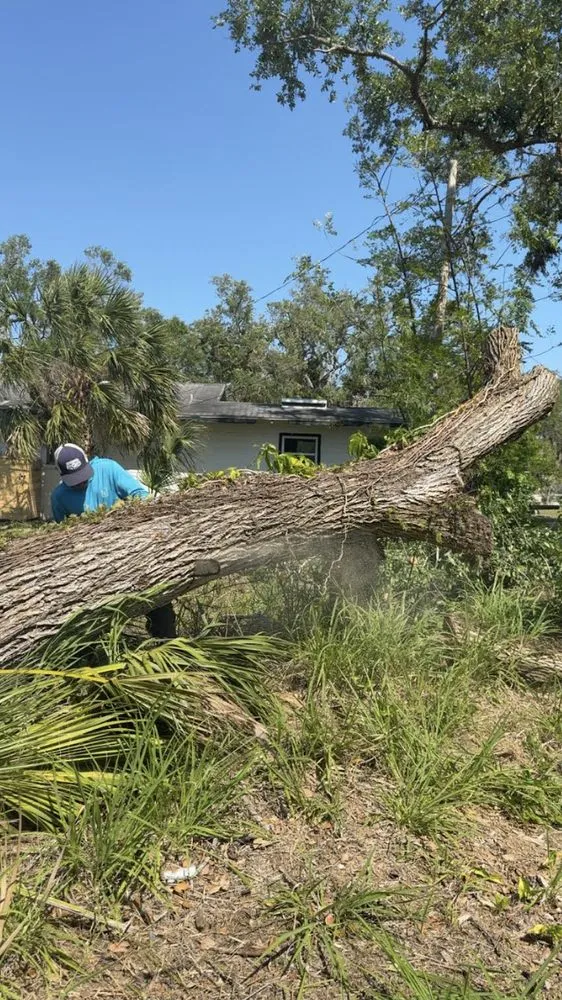 Affordable landscape design in Palmetto, FL by Gold Palm Solutions