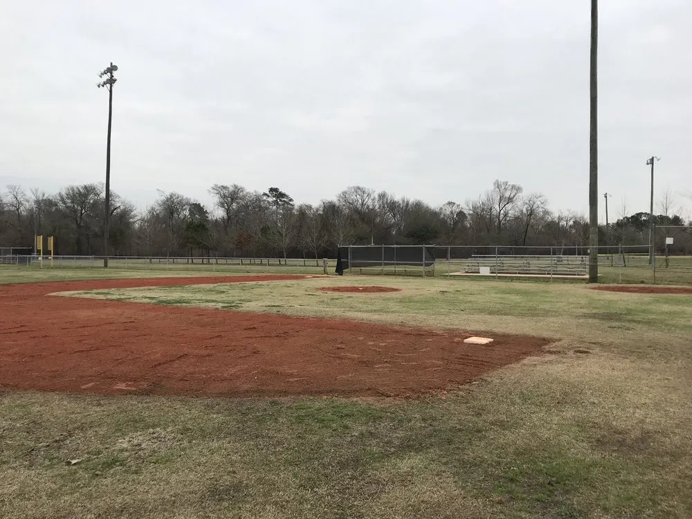 Professional lawn care service experts serving Houston, TX - Gold Rose Landscaping