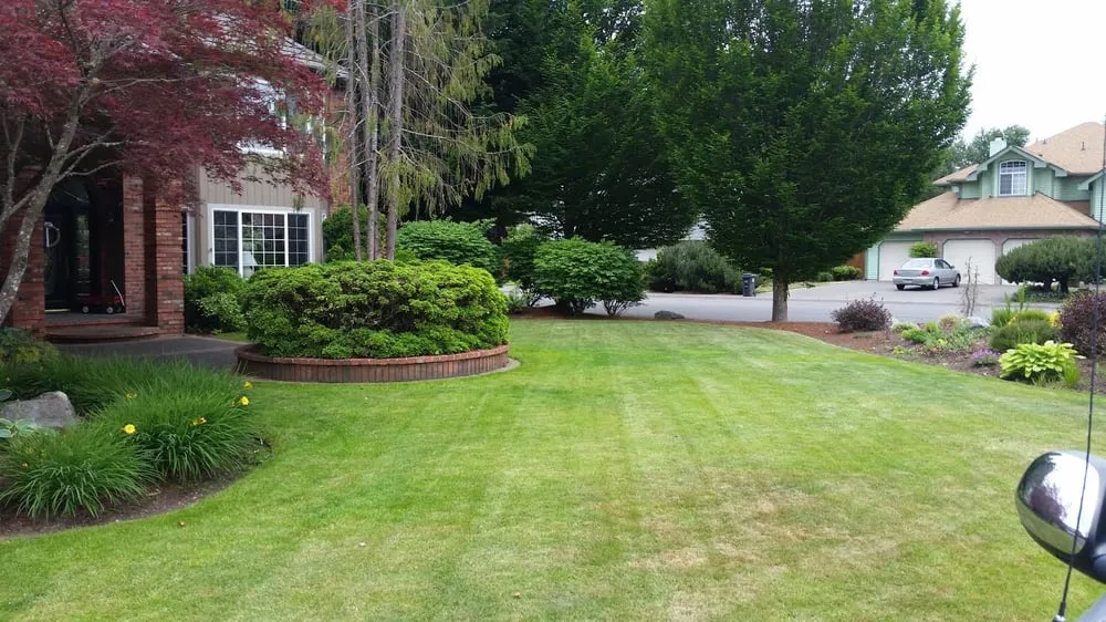 Affordable landscape design in Lacey, WA by Gold Standard Landscaping and Lawn Services