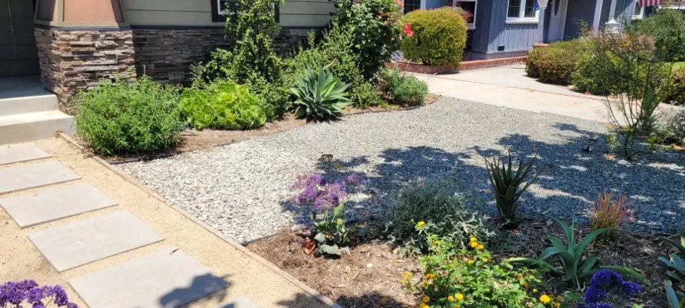 Trusted residential landscaping in Torrance, CA - Gold Star Landscape and Irrigation