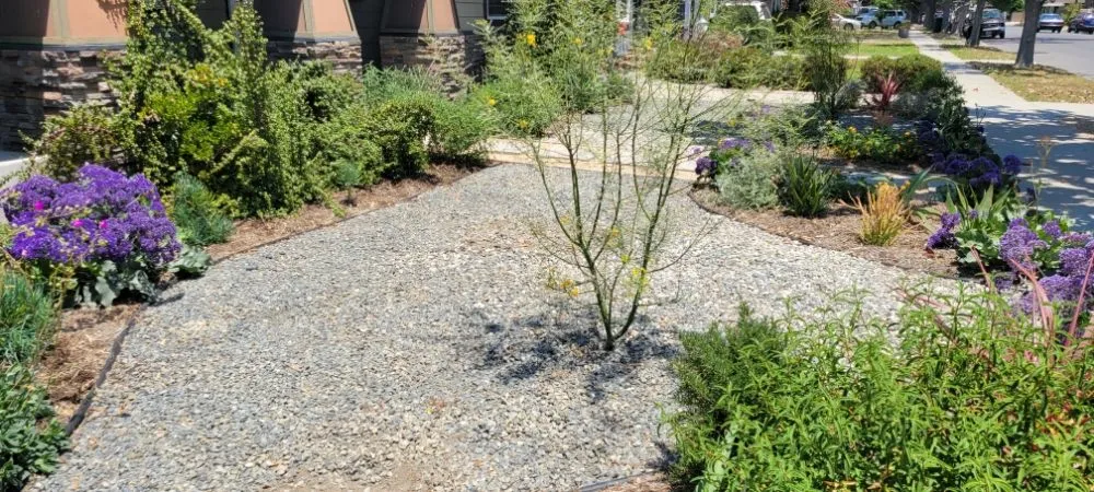 Reliable yard cleanup service near you in Torrance, CA by Gold Star Landscape and Irrigation