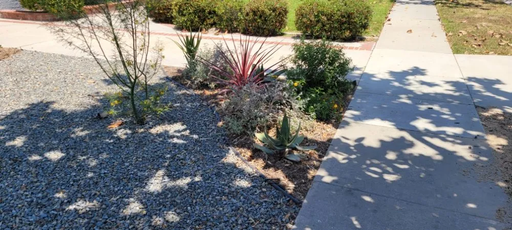 Expert lawn care service with custom design across Torrance, CA - Gold Star Landscape and Irrigation