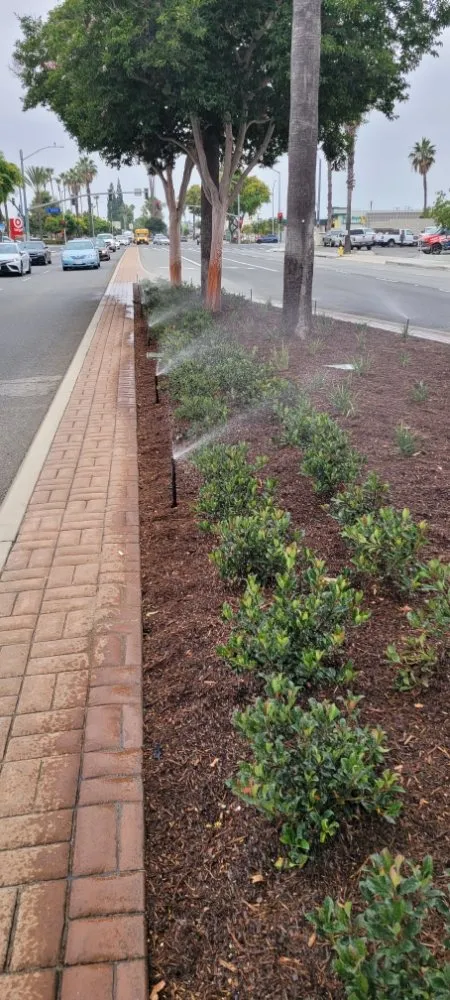 Local landscape design experts serving Torrance, CA - Gold Star Landscape and Irrigation