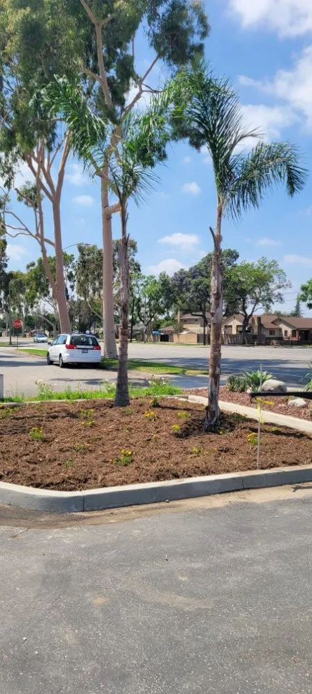Professional landscaping services in Torrance, CA - Gold Star Landscape and Irrigation