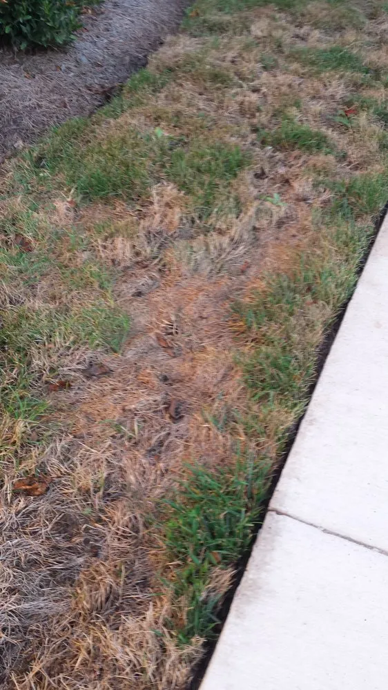 Local landscape design near you in Franklin, TN by Gold Star Landscaping