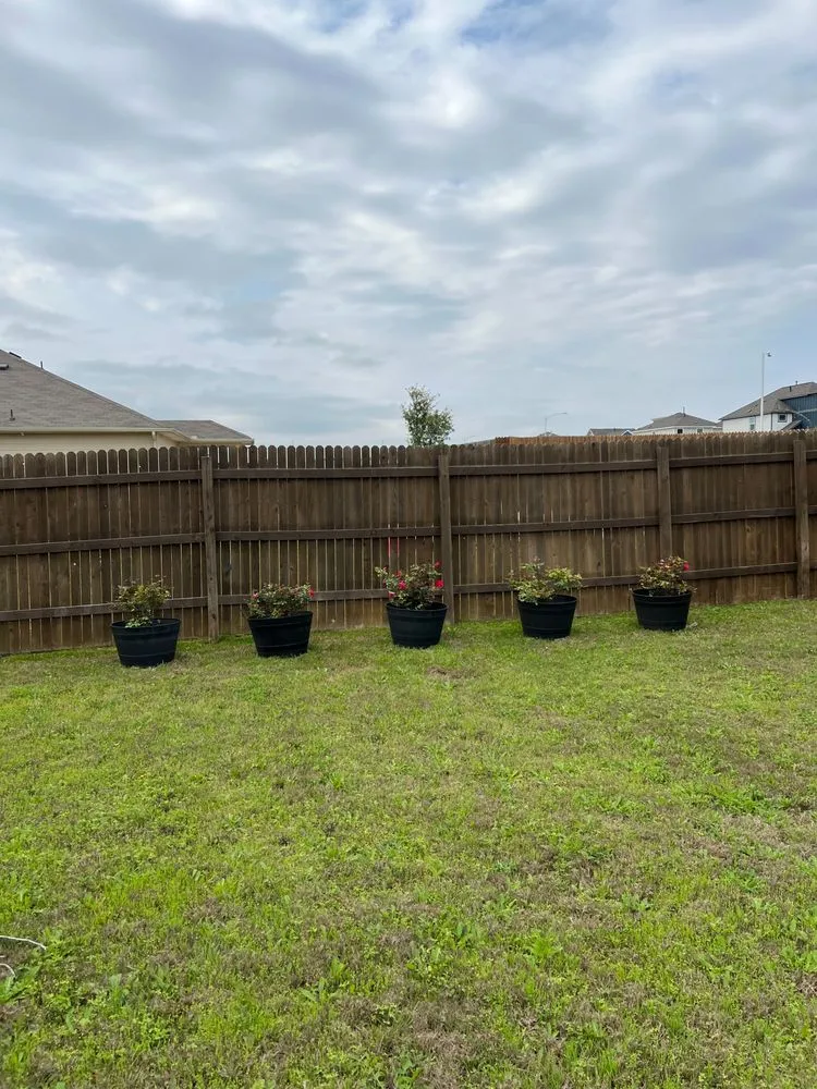 Top-rated garden landscaping experts serving Georgetown, TX - Gold Star Landscaping