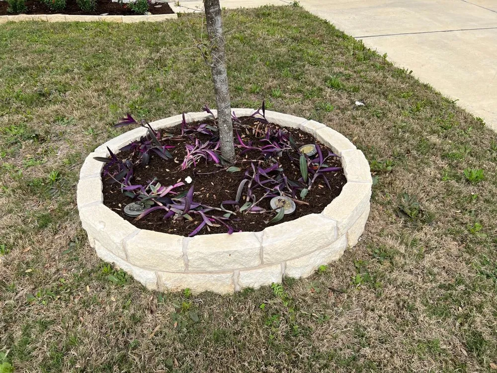 Expert outdoor landscaping in Georgetown, TX by Gold Star Landscaping