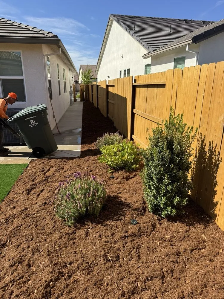 Reliable lawn mowing service with custom design across Carmichael, CA - Gold Star Lawn Maintenance