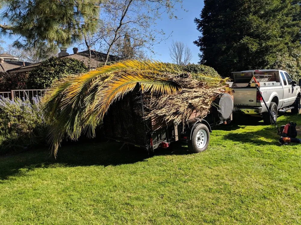 Affordable lawn mowing service near you across Carmichael, CA - Gold Star Lawn Maintenance
