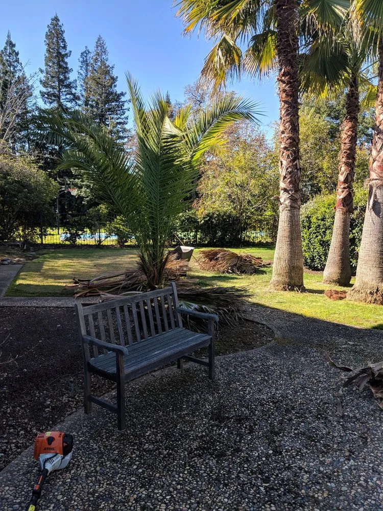 Custom lawn care service experts serving Carmichael, CA - Gold Star Lawn Maintenance