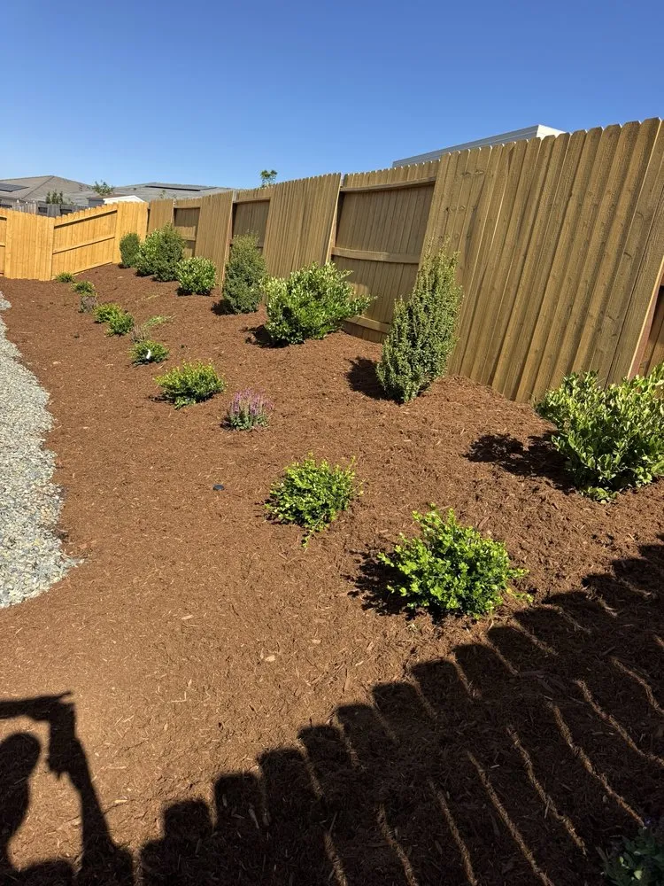 Trusted lawn care service in Carmichael, CA - Gold Star Lawn Maintenance