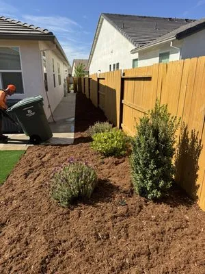 Gold Star Lawn Maintenance Logo