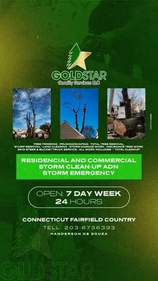 Gold Star Quality Services Logo