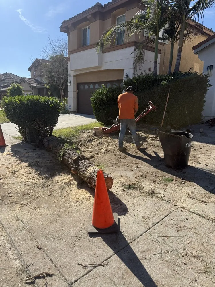 Local landscape installation in Victorville, CA by Golden Ace Landscaping
