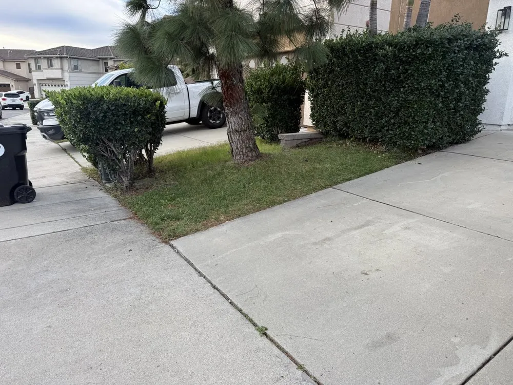Professional lawn care service for residential properties across Victorville, CA - Golden Ace Landscaping